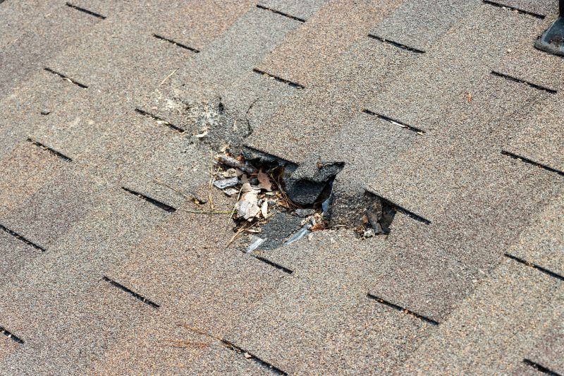 Roof Shingles Replacement in Worcester, MA